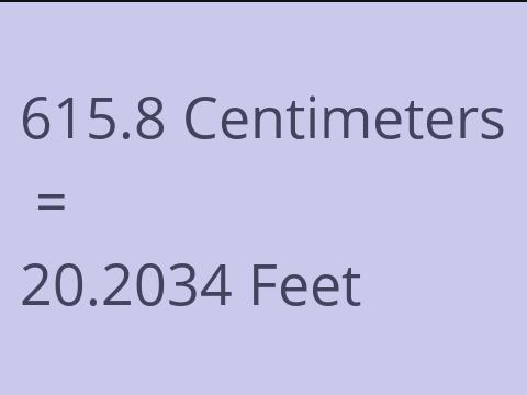 615.8 CM TO FEET