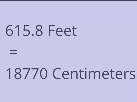 615.8 FEET TO CM