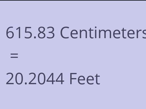 615.83 CM TO FEET