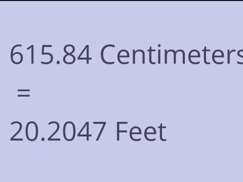 615.84 CM TO FEET