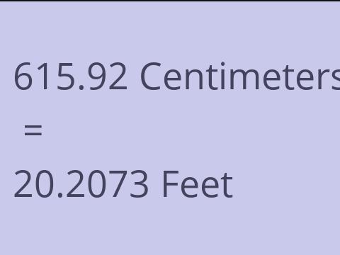 615.92 CM TO FEET