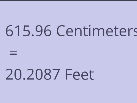 615.96 CM TO FEET