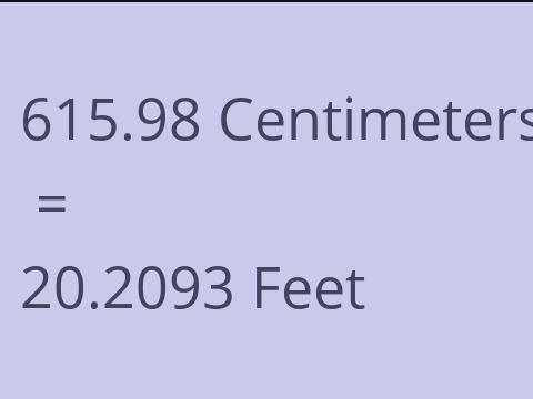 615.98 CM TO FEET