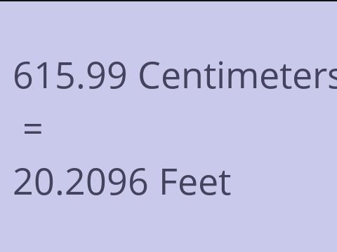 615.99 CM TO FEET