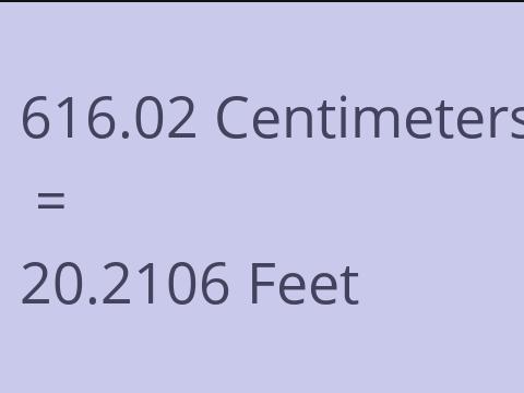 616.02 CM TO FEET