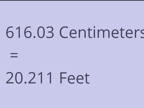 616.03 CM TO FEET