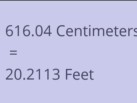 616.04 CM TO FEET