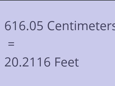 616.05 CM TO FEET