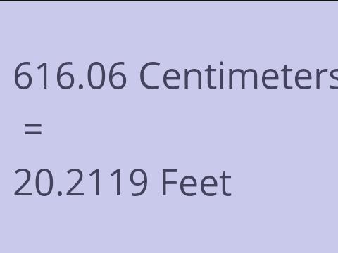 616.06 CM TO FEET