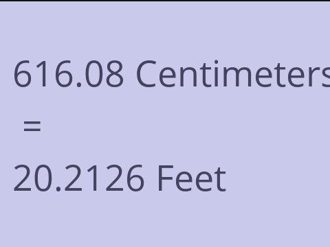 616.08 CM TO FEET