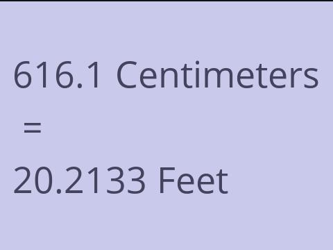 616.1 CM TO FEET