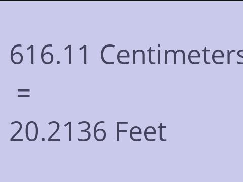 616.11 CM TO FEET