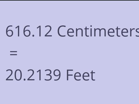 616.12 CM TO FEET