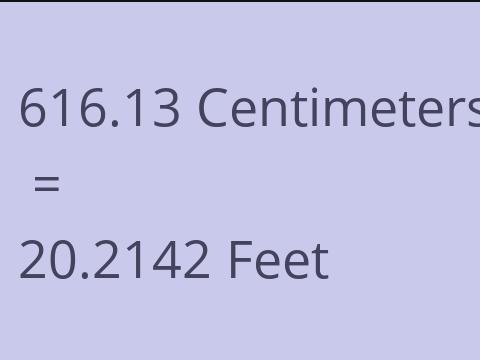 616.13 CM TO FEET