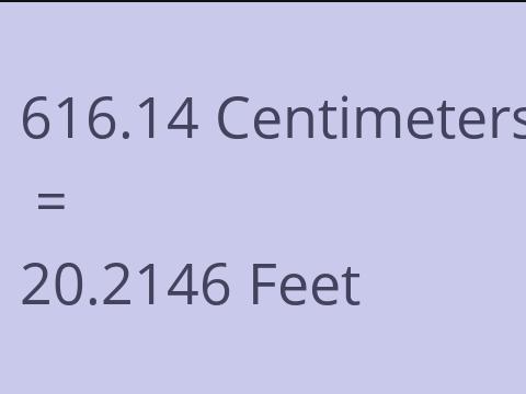 616.14 CM TO FEET