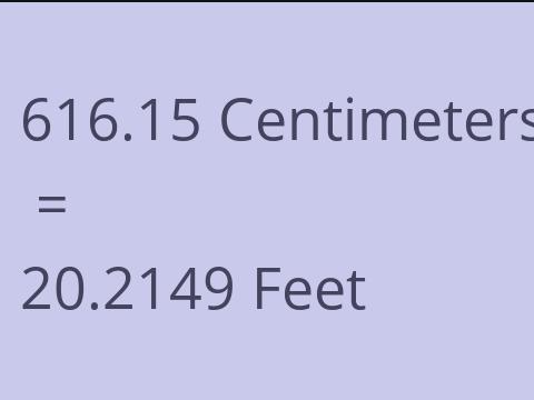 616.15 CM TO FEET