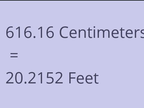 616.16 CM TO FEET