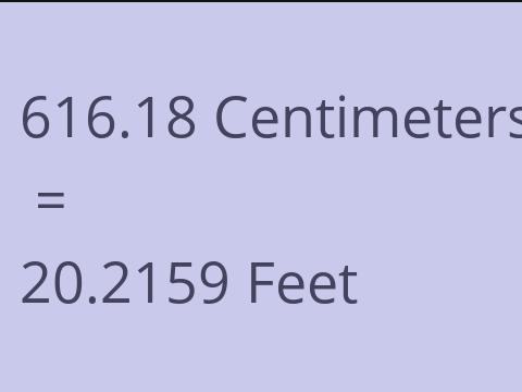 616.18 CM TO FEET