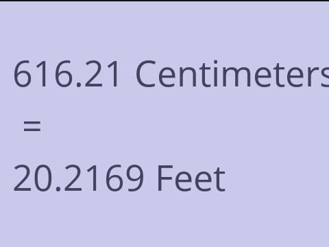 616.21 CM TO FEET