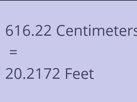 616.22 CM TO FEET