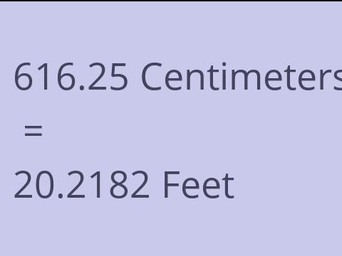 616.25 CM TO FEET