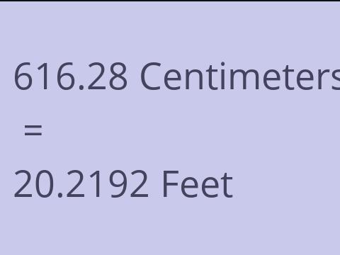 616.28 CM TO FEET