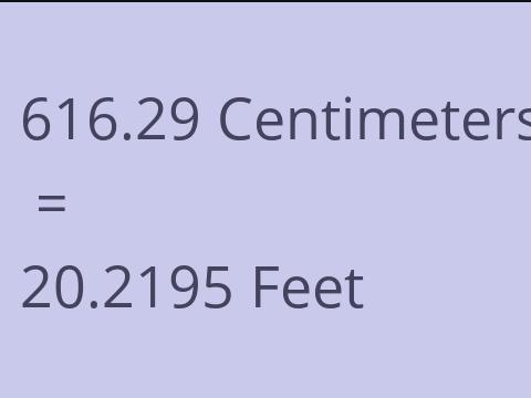 616.29 CM TO FEET