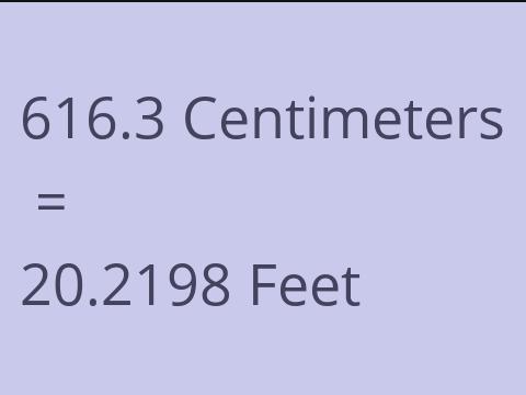 616.3 CM TO FEET