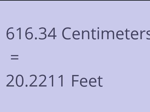 616.34 CM TO FEET