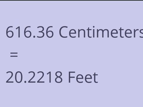 616.36 CM TO FEET