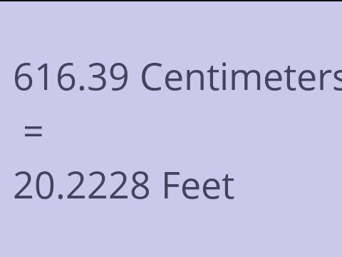 616.39 CM TO FEET