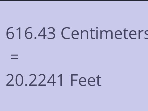 616.43 CM TO FEET