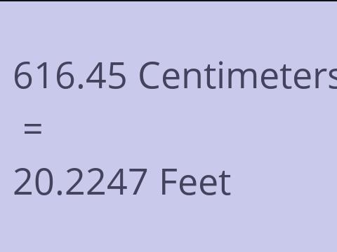 616.45 CM TO FEET