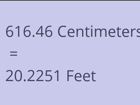 616.46 CM TO FEET