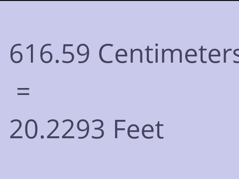 616.59 CM TO FEET