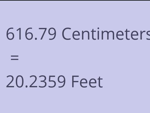 616.79 CM TO FEET