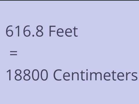 616.8 FEET TO CM