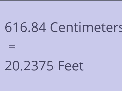 616.84 CM TO FEET