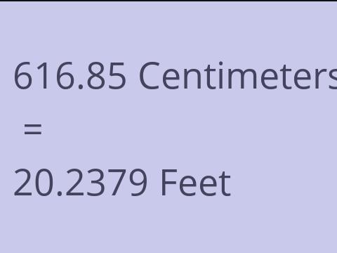 616.85 CM TO FEET