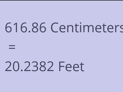 616.86 CM TO FEET