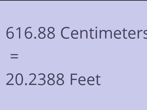 616.88 CM TO FEET