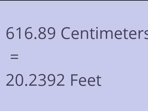 616.89 CM TO FEET