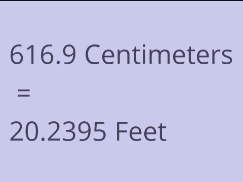 616.9 CM TO FEET