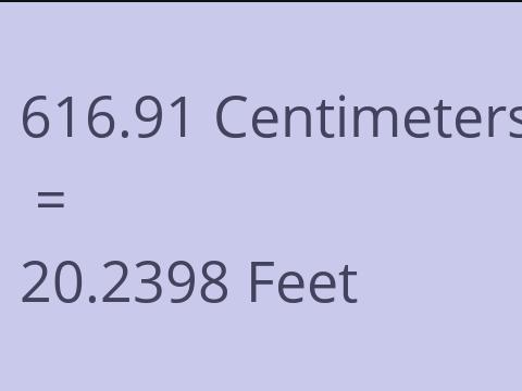 616.91 CM TO FEET