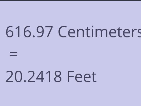 616.97 CM TO FEET