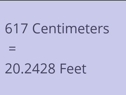 617 CM TO FEET