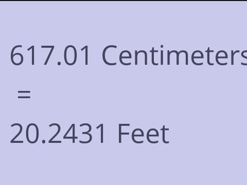 617.01 CM TO FEET