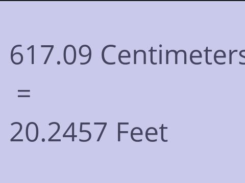 617.09 CM TO FEET