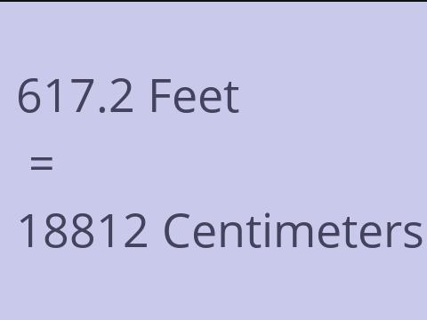 617.2 FEET TO CM