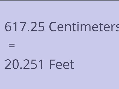 617.25 CM TO FEET